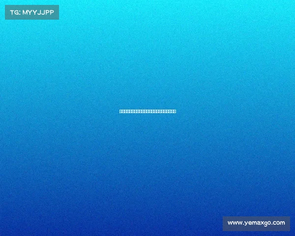 德甲足球氛围:激情四溢的球迷文化与赛场魅力探析 德甲足球氛围:激情四溢的球迷文化与赛场魅力探析