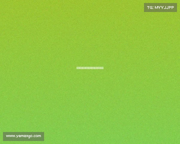 英超联赛中的欧洲球员风采与影响力分析